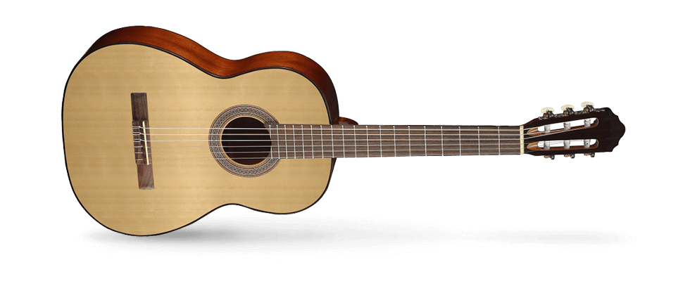 Cort AC-100