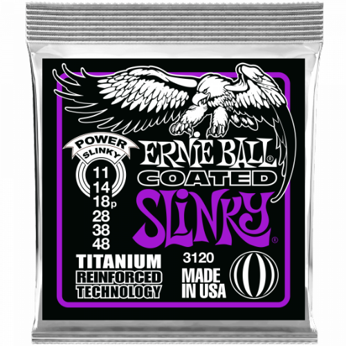 Ernie Ball 3120