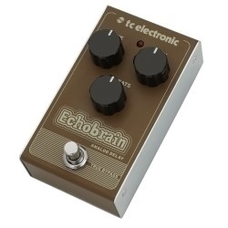 TC Electronic Echobrain Analog Delay