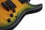 Schecter Hellraiser C1 Passive DGB - elektrická gitara