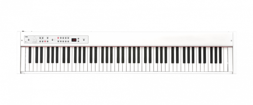 Korg D1 WH - Pianino cyfrowe