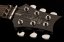 PRS 2017  SE Custom 24 Floyd Grey Black - gitara elektryczna