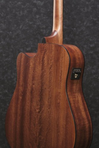Ibanez AW65ECE-LG - elektroakustická gitara