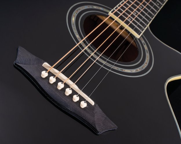 Washburn EA 10 (B) - elektroakustická gitara