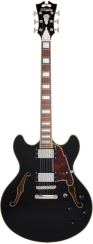 D'Angelico Premier DC Solid Black - elektrická kytara