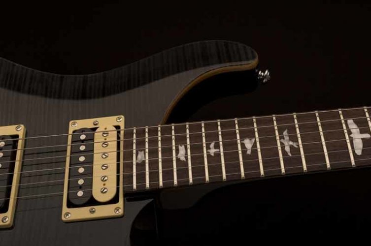 PRS 2017 SE Custom 24 Floyd Grey Black - Elektrická kytara