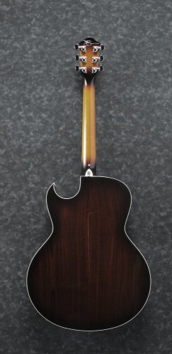 Ibanez JSA20-VB - elektroakustická gitara