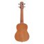 Laila UFG-2111-C FLOWERS - ukulele sopranowe