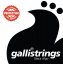 Galli RA60 Light Gauge - Struny pro 12-strunnou akustickou kytaru