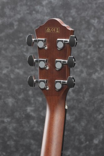 Ibanez AEG51-TRH - elektroakustická kytara