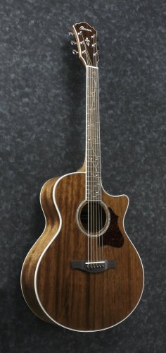 Ibanez AE245-NT - elektroakustická gitara
