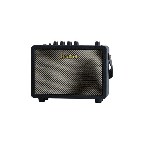 DK Technology iG-10Pro - Zesilovač pro elektrickou kytaru