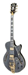 D'Angelico Excel SS Black Dog - elektrická kytara