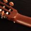 Cort AC 120CE OP - Gitara klasyczna + pokrowiec gratis