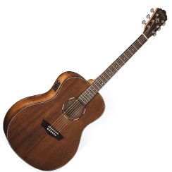 Washburn WLO 12 SE (N)