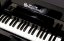 Schoenhut Elite Baby Grand Piano - Digitální piano pro děti