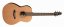 Seagull Coastline Cedar Folk QIT - Elektroakustická gitara