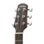 Walden G 570 EW (TB) - elektroakustická kytara