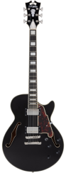 D'Angelico Premier SS Black Flake - elektrická kytara