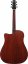 Ibanez AAD400CE-LGS - elektroakustická kytara