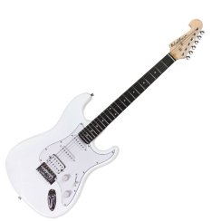 Washburn WS 300 H (WH)