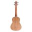 Laila UFN-2311-A (R1) - koncertní ukulele