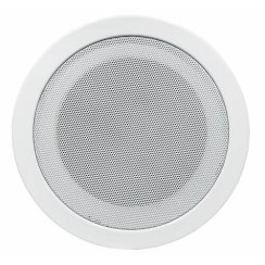 Głośnik 100V NSP NS-304