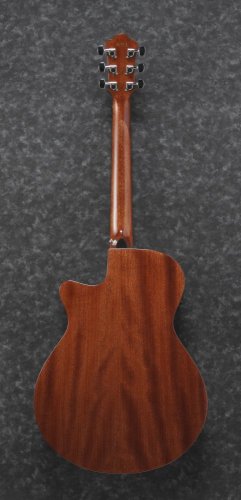 Ibanez AEG220-LGS - elektroakustická gitara