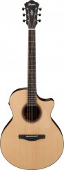 Ibanez AE325-LGS - elektroakustická kytara