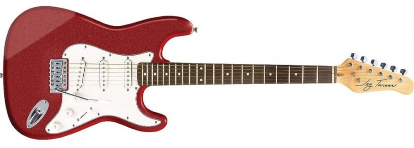 Jay Turser JT 300 (MRD) - elektrická gitara