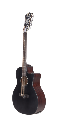 D'angelico Premier Fulton 12 LS Matte Black - elektrická gitara