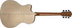 Washburn AG 40 CE (FN) - elektroakustická kytara