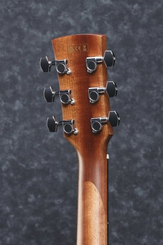 Ibanez AW65ECE-LG - gitara elektroakustyczna