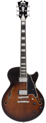 D'Angelico Premier SS Brown Burst - elektrická kytara