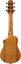 Ibanez AUP10N-OPN - Guitalele / Piccolo Ukulele Open Pore Natural