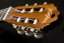 Washburn C5 CE (N) - elektroklasická gitara