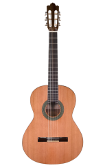 Prodipe Guitars Recital 300 4/4 - klasická gitara