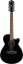 Ibanez AEG5012-BKH - elektroakustická gitara