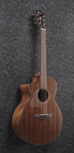 Ibanez AE295L-LGS - elektroakustická kytara levoruká