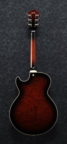 Ibanez AG95QA-DBS - elektrická gitara