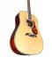 Alvarez MD 60 E BG (N) - elektroakustická gitara