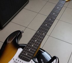 Washburn WS300 H (TS) - Elektrická kytara