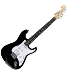 Washburn WS 300 H (B) - Elektrická gitara