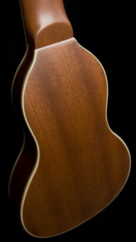 Washburn RO 10 (N) - Gitara akustyczna
