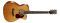 Cort Gold OC6 - Elektroakustická gitara + pouzdro zdarma