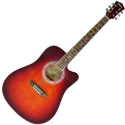 Washburn WA 90 C (RDB)