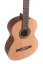 GEWA 500146 Student Cedar - Gitara klasyczna 4/4 cedr