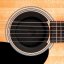 D'Addario PW-SH-01 - kryt zvukového otvoru Screeching Halt