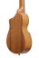 Ibanez AUP10N-OPN - Guitalele / Piccolo Ukulele Open Pore Natural