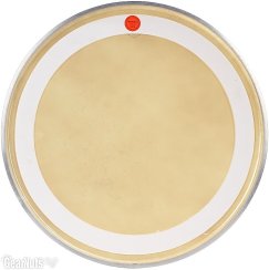 Aquarian DVK 20 B